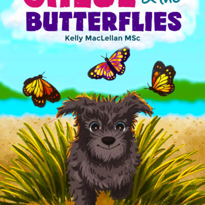 Chloe & the Butterflies Book